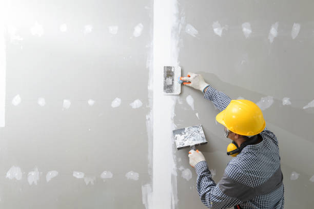 Best Commercial Painting  in Lake Geneva, WI